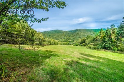 Do sprzedania działka 20 300 m² z lasem i panoramicznym widokiem działka Małastów