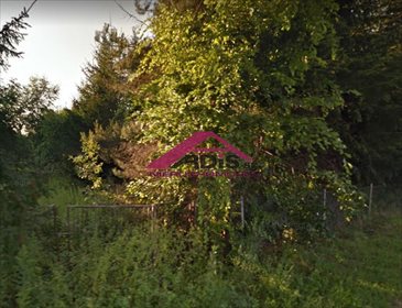 działka na sprzedaż 7700m2 działka Słomczyn