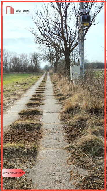 Działki rolno-budowlane z potencjałem w Szydłowie - 11 600 m² działka Pokrzywnica
