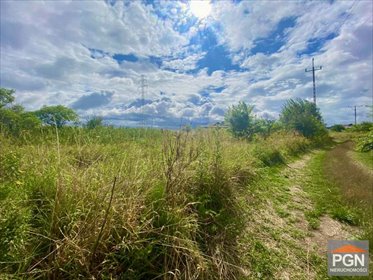 Na sprzedaż działka 19 400 m² z warunkami zabudowy w Gryficach działka GRYFICE OKOLICA