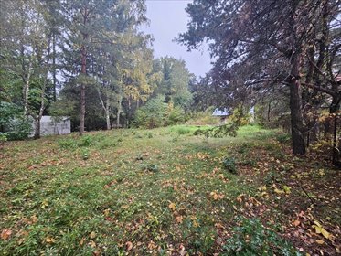 działka na sprzedaż 900m2 działka Rogóźno