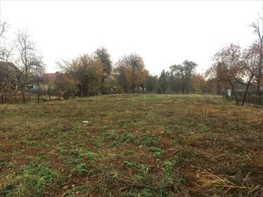 działka na sprzedaż 1600m2 działka Olszany