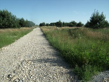 Działka 850 m² z wodą i prądem - własna droga w Czarkowie działka tworog, czarkow, rozana