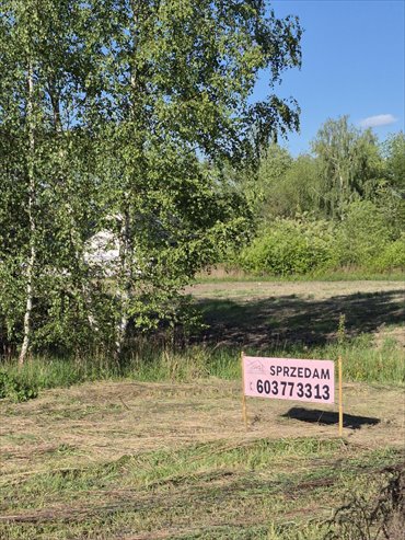Działka 1345 m² w Pyskowicach (blisko drogi głównej) działka Pyskowice, wiejska