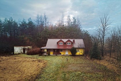 dom na sprzedaż 99m2 dom Czarny Las-Kolonia