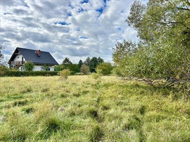 działka na sprzedaż 2600m2 działka Rynarzewo