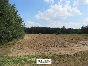 Działka inwestycyjna na sprzedaż Domaszew 7 600m2 Foto 2