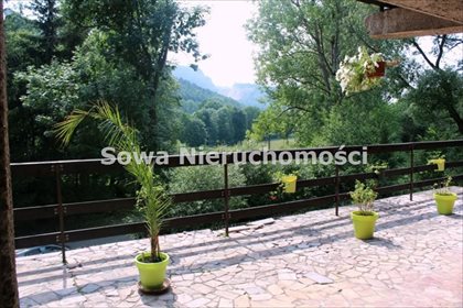 Działka budowlana na sprzedaż Wojcieszów 16 349m2 Foto 3