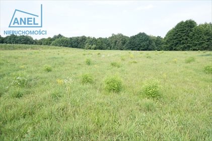 Działka rolna na sprzedaż Mikołów, Paniowy 3 260m2 Foto 2