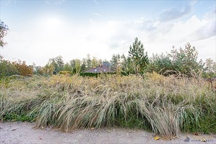 działka na sprzedaż 1049m2 działka Grabówka, Pokrzywowa