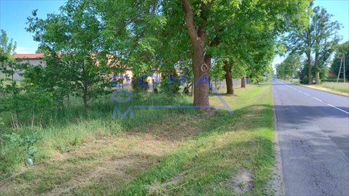 Działka 6000 m² z możliwością zabudowy - inwestycja działka Nowe Chrusty