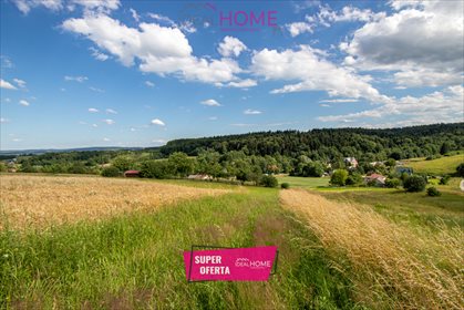 działka na sprzedaż 3300m2 działka Mogielnica