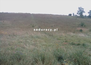 Działka budowlana na sprzedaż Prandocin-Iły 5 000m2 Foto 2