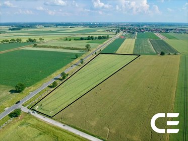 Działka inwestycyjna 2,06 ha w Nowosiedlicach. działka Nowosiedlice
