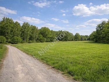 Działka budowlana 1076 m² z WZ, cisza i zieleń. działka Budy Zosine