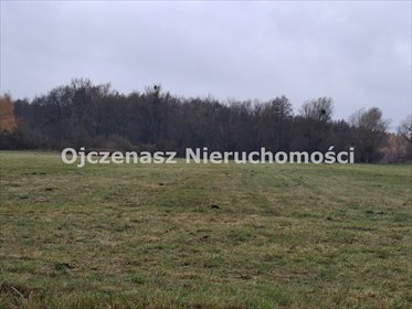 Sprzedam działkę inwestycyjną 55 259 m² z MPZP i dostępem do mediów działka Lisi Ogon