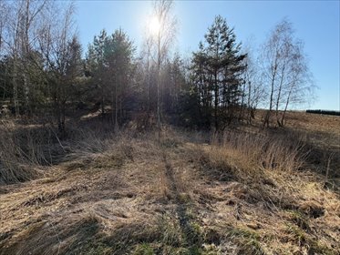 działka na sprzedaż 2400m2 działka Maszków, Na Kamieniec