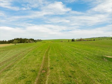 Działka rolna 4357 m² przy drodze w Szaflarach działka Nowotarski, Rola Galicowa