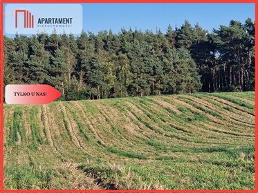 działka na sprzedaż 3294m2 działka Wiewiórczyn