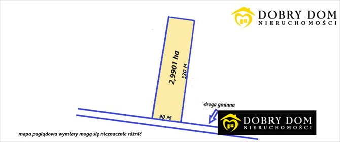 Zapraszam do zakupu działki leśnej 29 900 m² w Lewickiem działka Lewickie-Kolonia