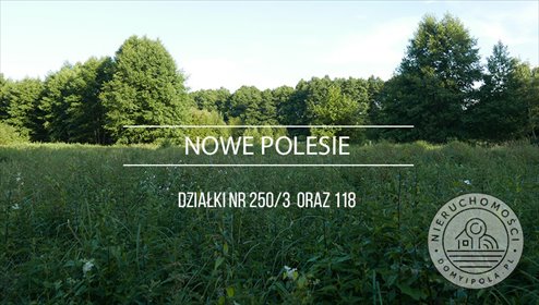 działka na sprzedaż 10433m2 działka Nowe Polesie