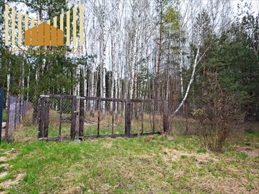 Działka na wzgórzu z brzozami, blisko natury i autostrady działka Mrozy