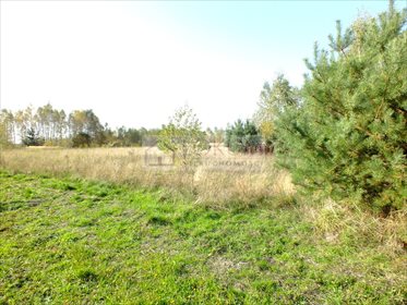Działka budowlana na sprzedaż Wsola 1 543m2 Foto 2