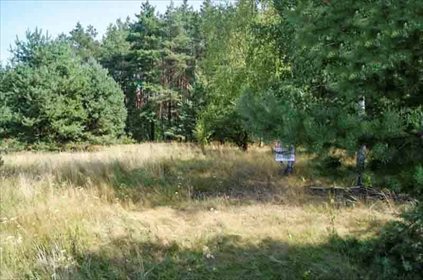 Działka leśna na sprzedaż Firlej 3 200m2 Foto 4
