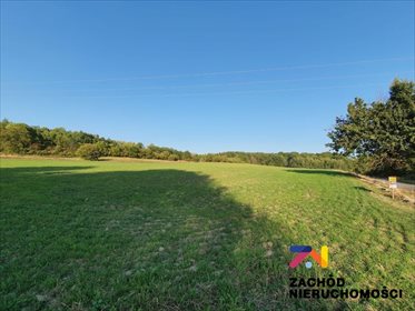 Działka budowlana na sprzedaż Drągowina 3 200m2 Foto 1