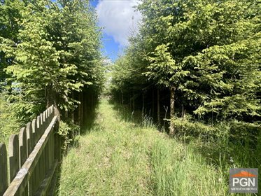 działka na sprzedaż 4500m2 działka KAMIEŃ POMORSKI OKOLICA