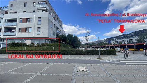 lokal użytkowy na wynajem 115m2 lokal użytkowy Warszawa, Wilanów, Adama Branickiego