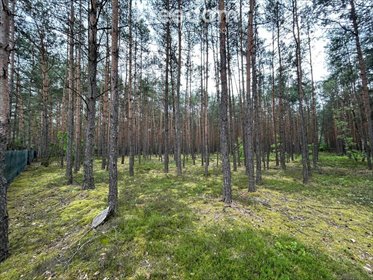 działka na sprzedaż 5500m2 działka Ołdakowizna