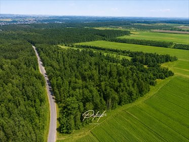 Działka 15 318 m² w Wyśmierzycach - zapraszam działka Wyśmierzyce