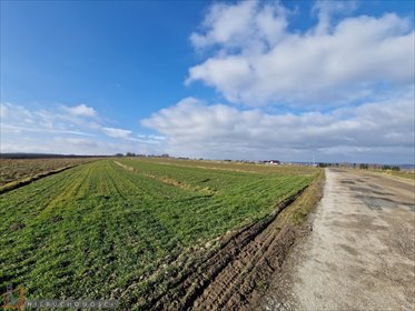 Działka 1,2 ha z warunkami zabudowy (Skała) działka Skała