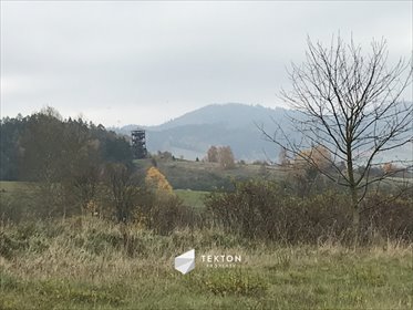 Działka 11 500 m² z możliwością podziału, widoki działka Mieroszów, Kwiatowa