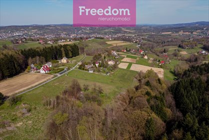 Działka inna na sprzedaż Meszna Opacka 9 075m2 Foto 7