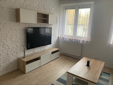 mieszkanie na wynajem 39m2 mieszkanie Gliwice, Trynek