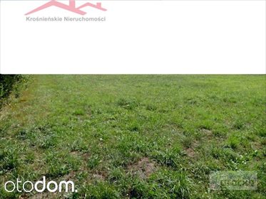 Na sprzedaż leśna działka 1,03 ha z możliwością zakupu sąsiedniej działka Chorkówka