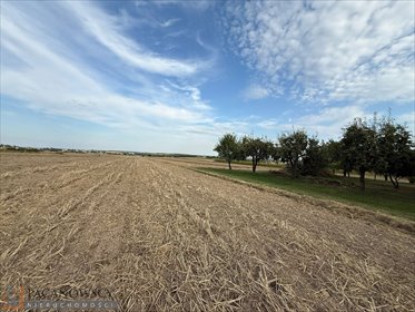 działka na sprzedaż 9194m2 działka Cianowice Duże