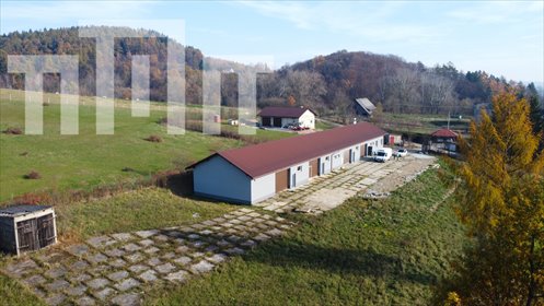 Lokal użytkowy na wynajem Trześniów 221m2 Foto 2