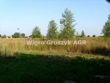 Na sprzedaż działka 3000 m² z warunkami zabudowy i infrastrukturą działka Prusy, Malinowa