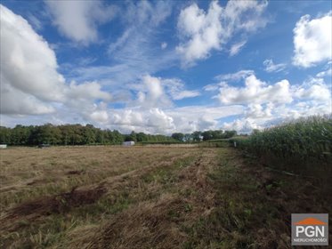 Działka z warunkami zabudowy 1000 m² w Buniewicach - polecam działka Buniewice