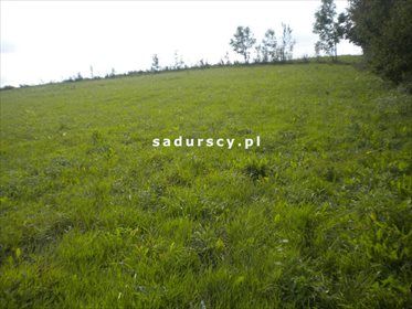 Działka rolna na sprzedaż Gołyszyn 28 520m2 Foto 3