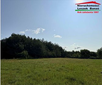 działka na sprzedaż 3365m2 działka Lipinki