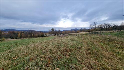 Działka budowlana na sprzedaż Dębowina 3 280m2 Foto 4