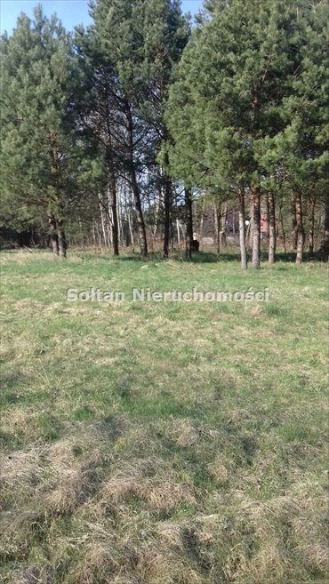 działka na sprzedaż 11480m2 działka Iława