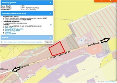 Działka 19 913 m² w Jędrzychowicach - szerokie możliwości inwestycyjne działka Jędrzychowice