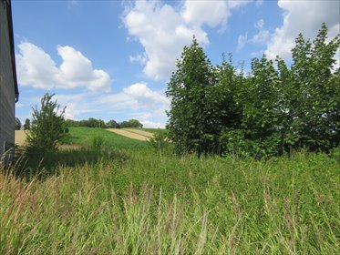 Działka 1566 m² w Proszowicach - teren wielofunkcyjny działka Proszowice