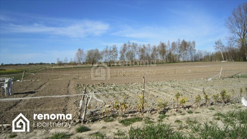 Sprzedam działkę 1000 m² z warunkami zabudowy w Strzeżenicach działka Strzeżenice