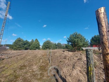 Działka 3007 m2 w Gliniku – atrakcyjna cena! działka Glinik